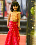 Mermaid Skirt Lehenga Set