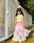 Violet Green Organza Set
